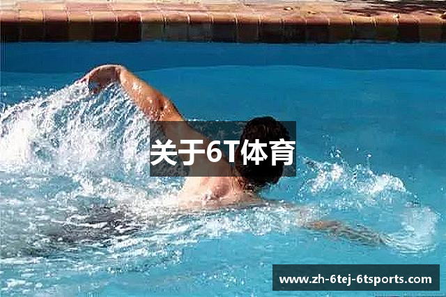 关于6T体育